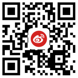 【使用手册】长沙信息咨询公司排名_哔哩哔哩-3